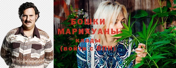 молекула духа Волосово
