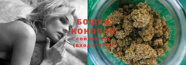 молекула духа Волосово