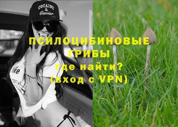 стафф Володарск