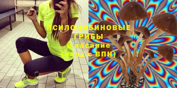 молекула духа Волосово
