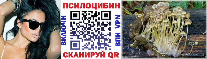 Галлюциногенные грибы Psilocybine cubensis  продажа наркотиков  площадка наркотические препараты  Тула 